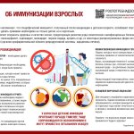 иммунизация взрослых